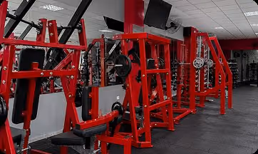 Quanto tempo leva para ganhar massa muscular