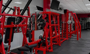 Quanto tempo leva para ganhar massa muscular